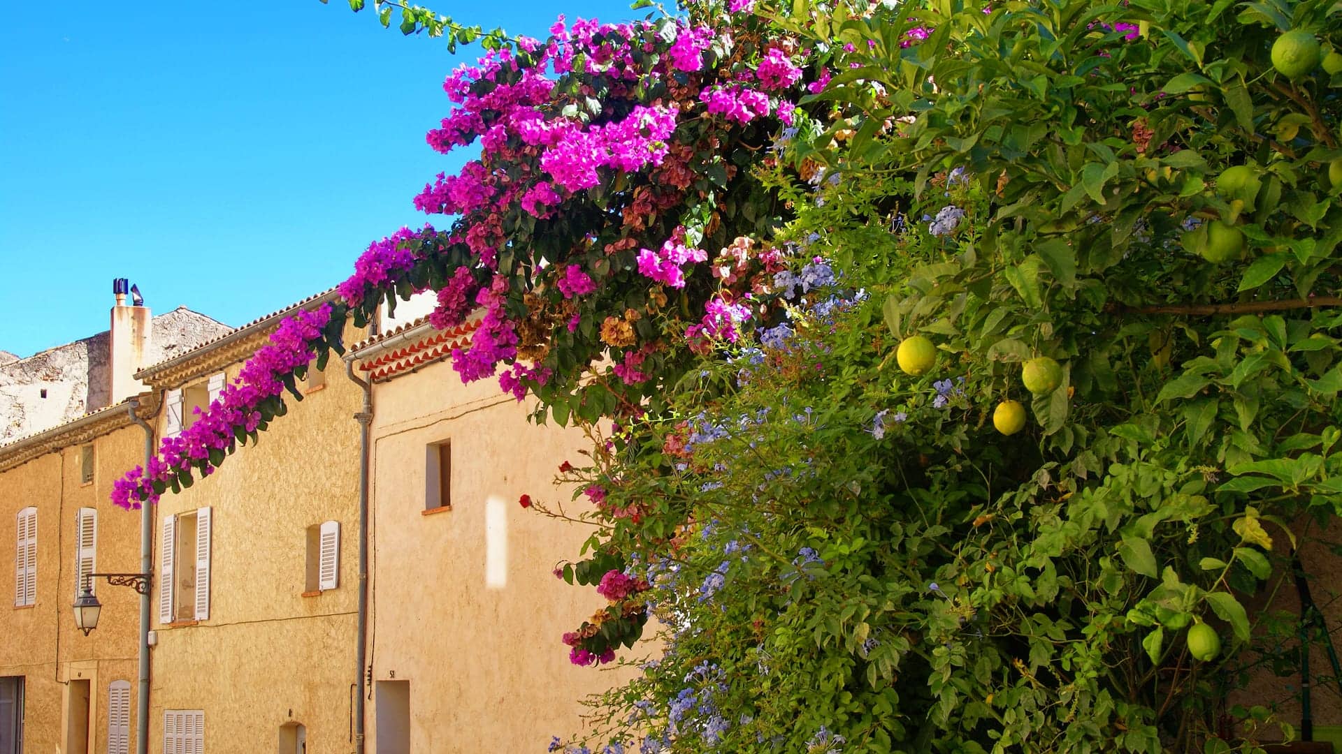 Couvreur à Roquebrune-sur-Argens, Var (83)
