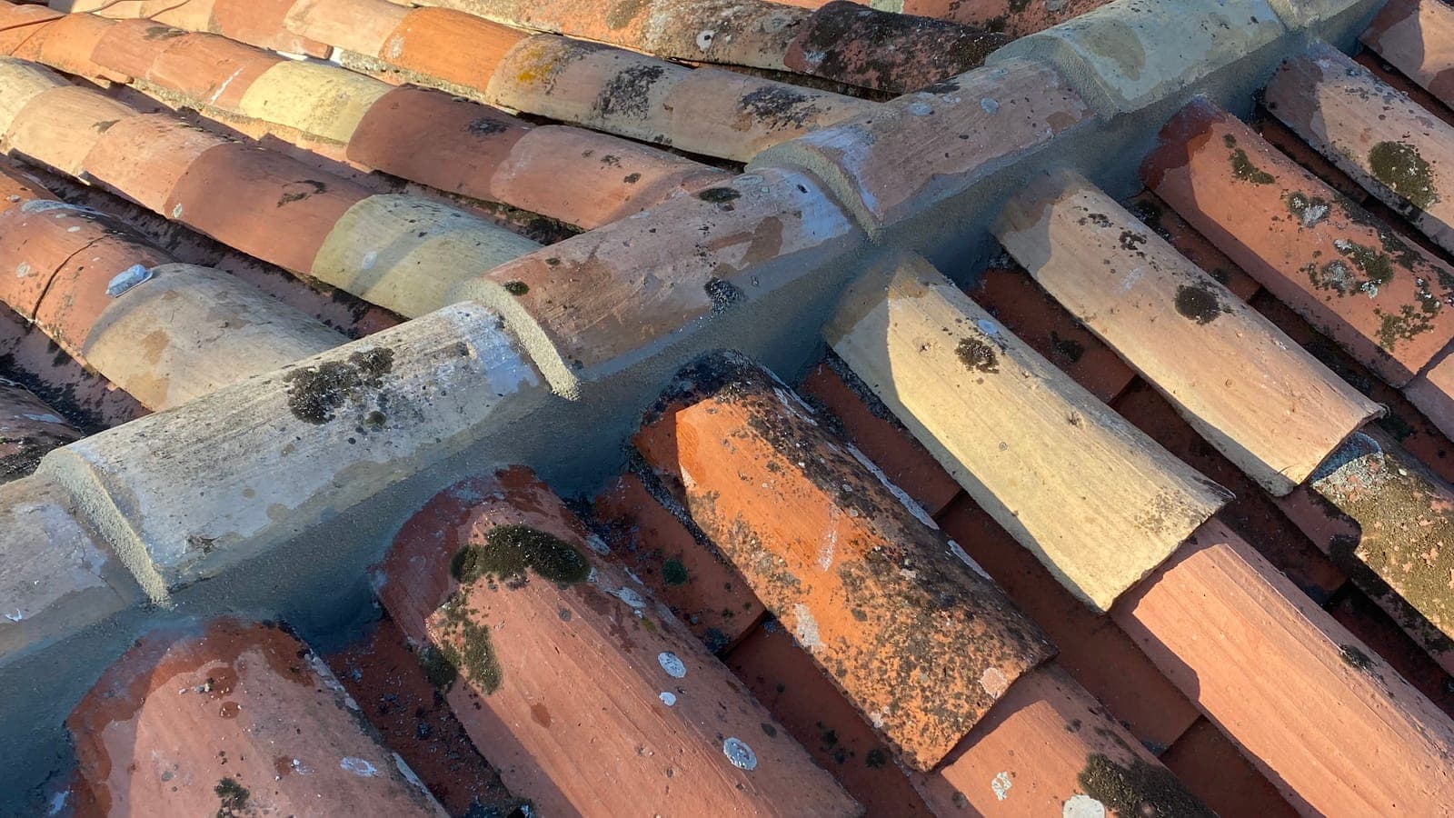 Tuiles canal tachées de lichens et de mousse le long d'un faîtage au mortier